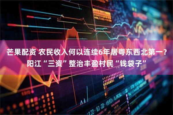 芒果配资 农民收入何以连续6年居粤东西北第一？阳江“三资”整治丰盈村民“钱袋子”
