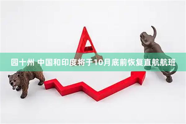 园十州 中国和印度将于10月底前恢复直航航班
