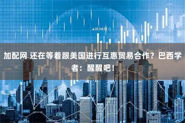 加配网 还在等着跟美国进行互惠贸易合作？巴西学者：醒醒吧！
